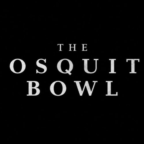 The Mosquito Bowl Netflix