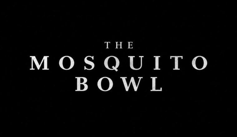 The Mosquito Bowl Netflix
