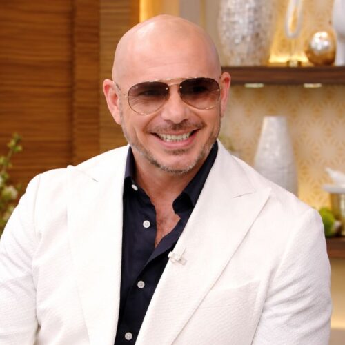 Pitbull’s 24-Track PITCOIN Is Pure Excess